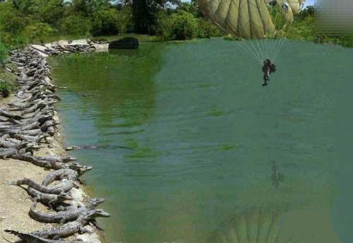 最高境界~~~~~~~第二波