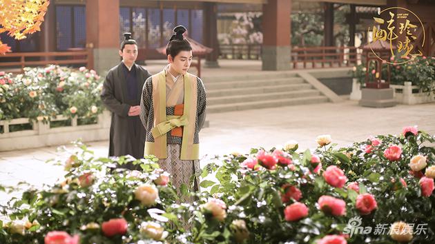 金蝶成团宠蝴蝶结走红 《醉玲珑》热播掀起追蝶风