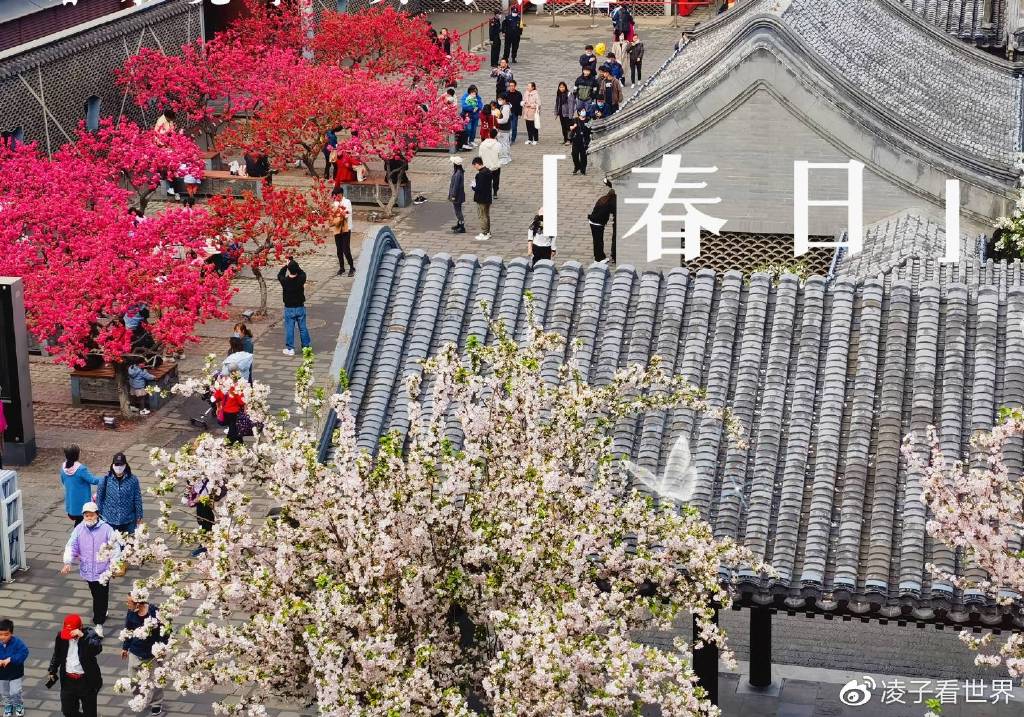 【转】遇到春日里最美地铁站