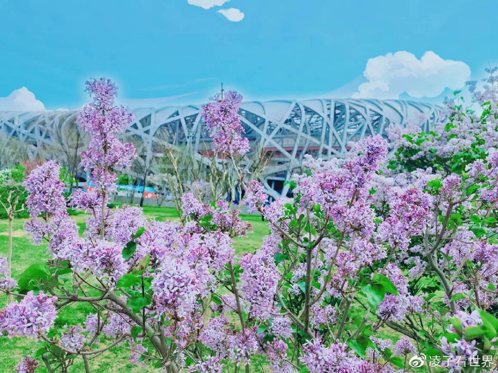 【转】遇到春日里最美地铁站