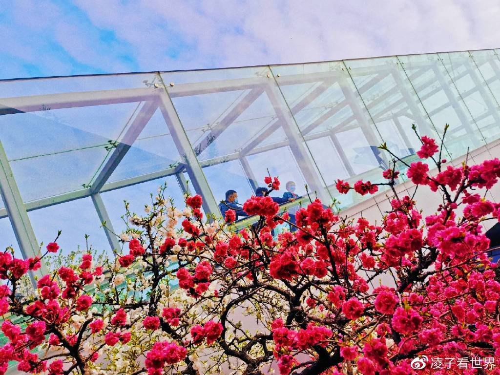 【转】遇到春日里最美地铁站