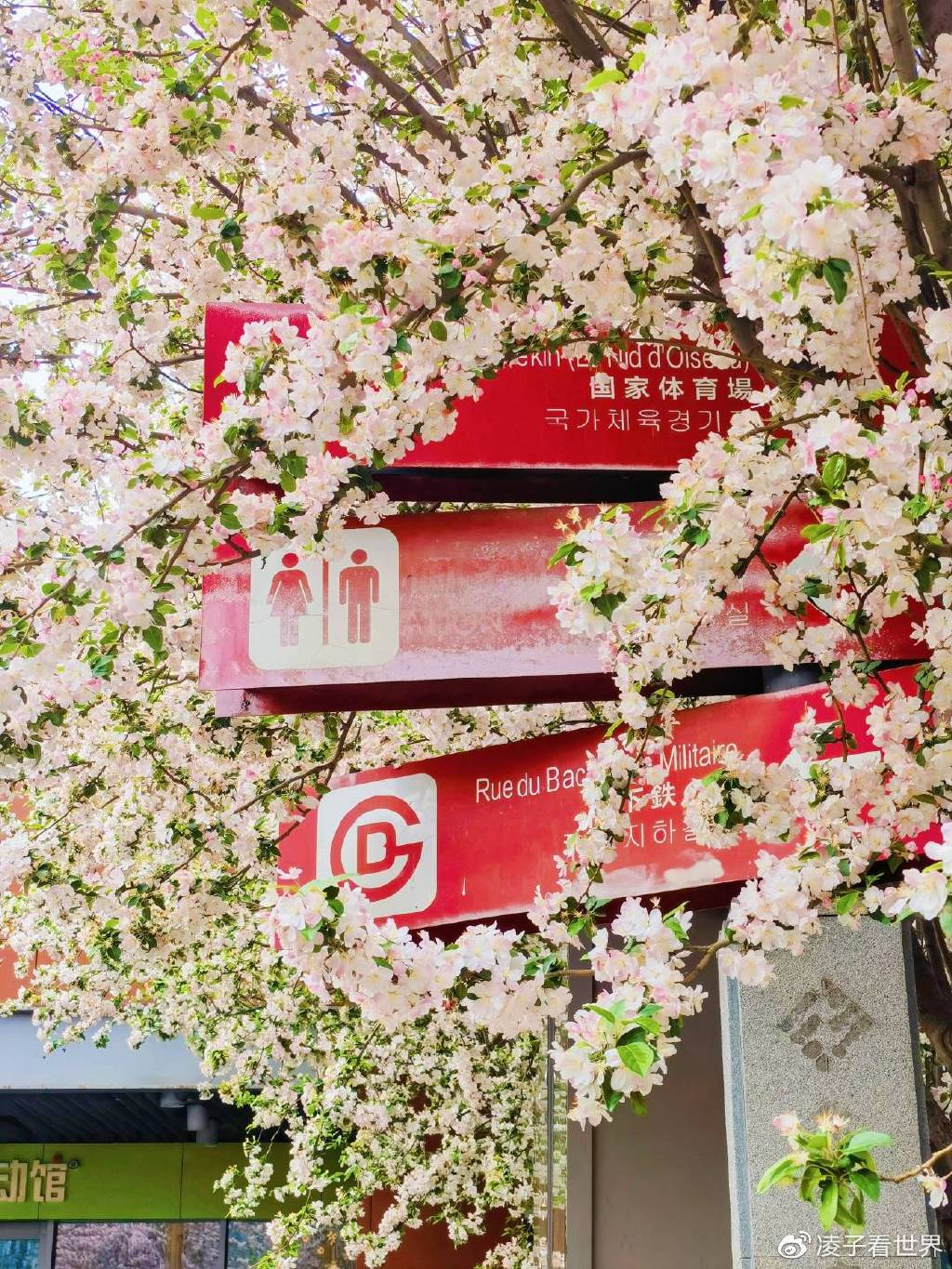 【转】遇到春日里最美地铁站