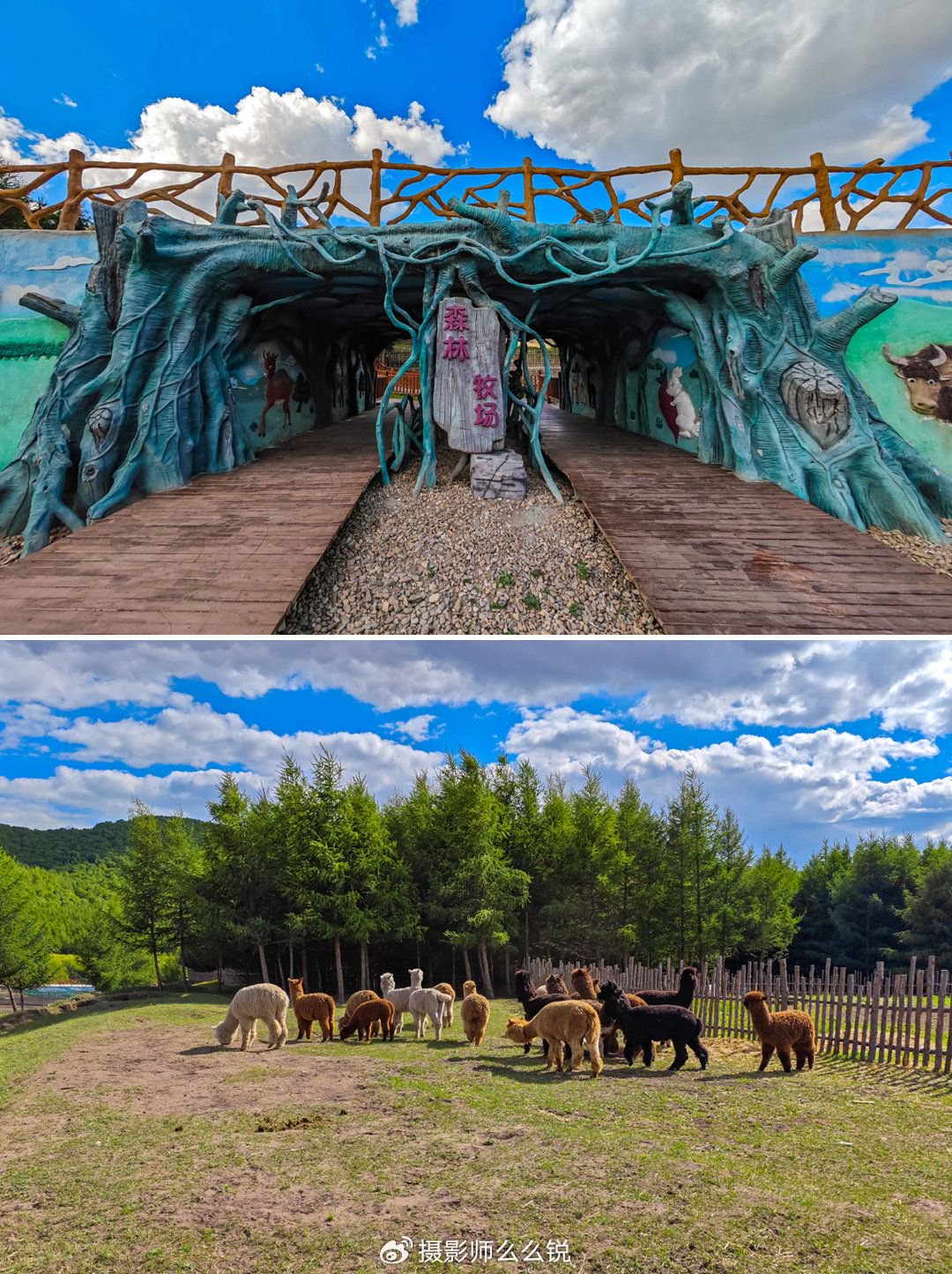 【转】这个暑假,来草原过20℃的夏天!