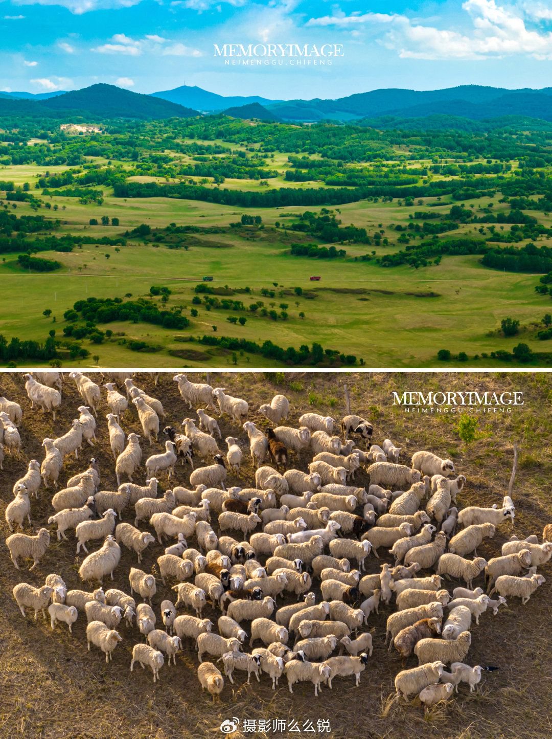 【转】这个暑假,来草原过20℃的夏天!