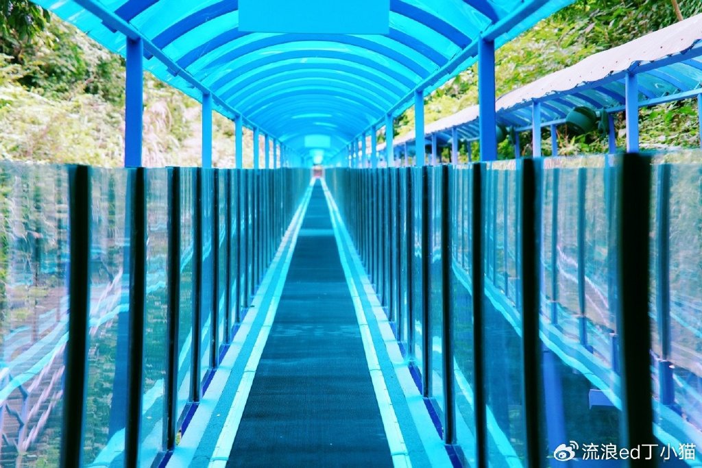 【转】浙江桐庐:寻找山林中的夏日清凉