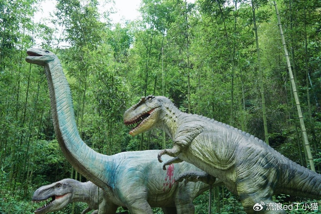 【转】浙江桐庐:寻找山林中的夏日清凉