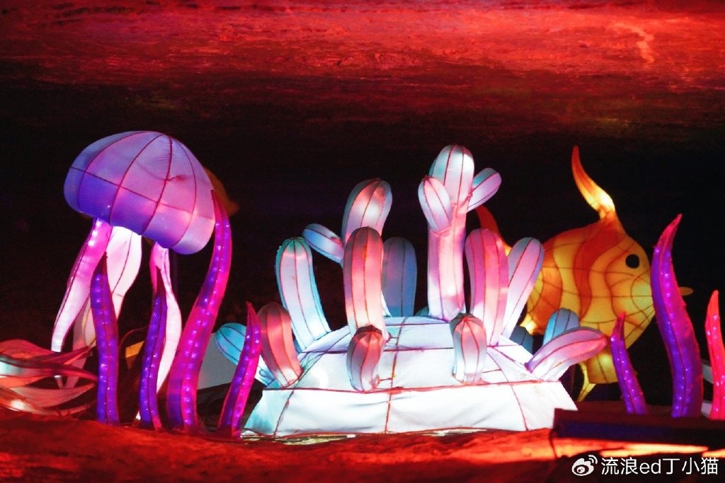 【转】浙江桐庐:寻找山林中的夏日清凉