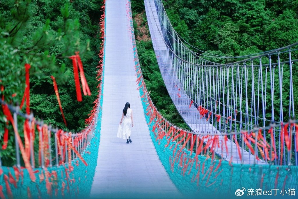 【转】浙江桐庐:寻找山林中的夏日清凉