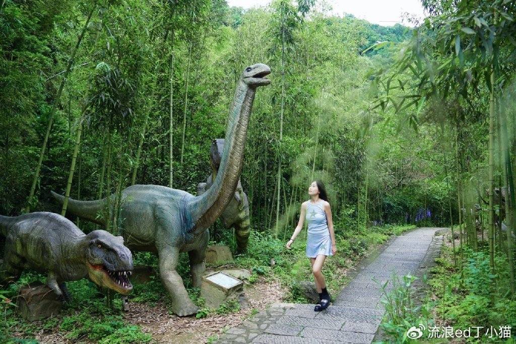 【转】浙江桐庐:寻找山林中的夏日清凉