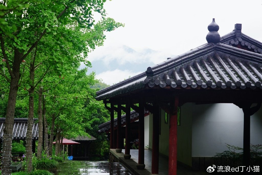 【转】浙江桐庐:寻找山林中的夏日清凉