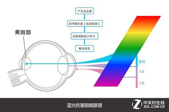 广告还是真相 选购显示器的“十大”误区