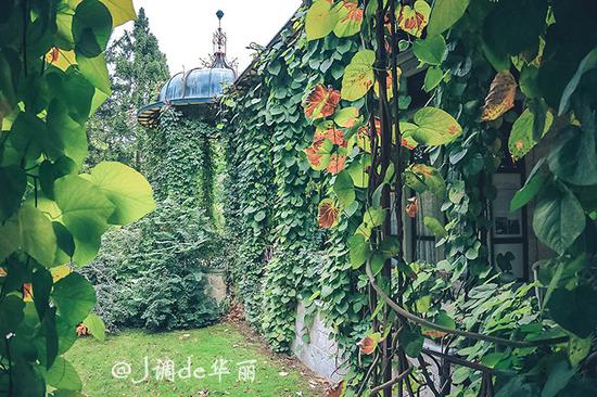 【转】巴特伊施尔:茜茜公主爱情开始的地方