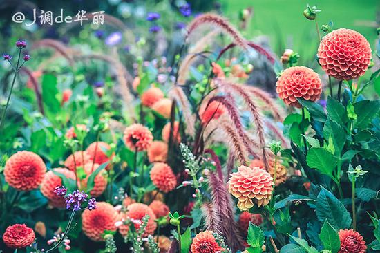 【转】巴特伊施尔:茜茜公主爱情开始的地方