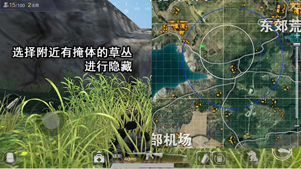 草丛作用解析与应用
