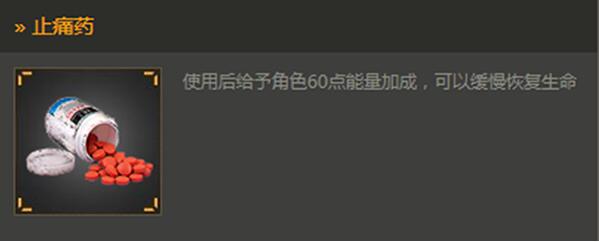 药品详解与使用事项