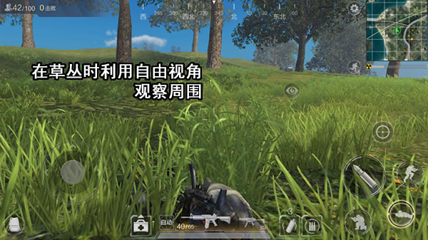 草丛作用解析与应用