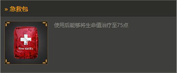 药品详解与使用事项