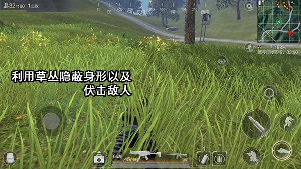 草丛作用解析与应用