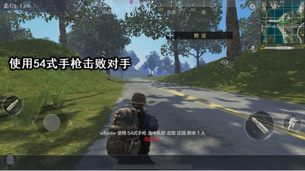 54式手木仓和P92武器对比分析