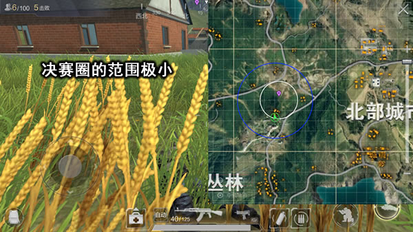 决赛圈武器选择与调整