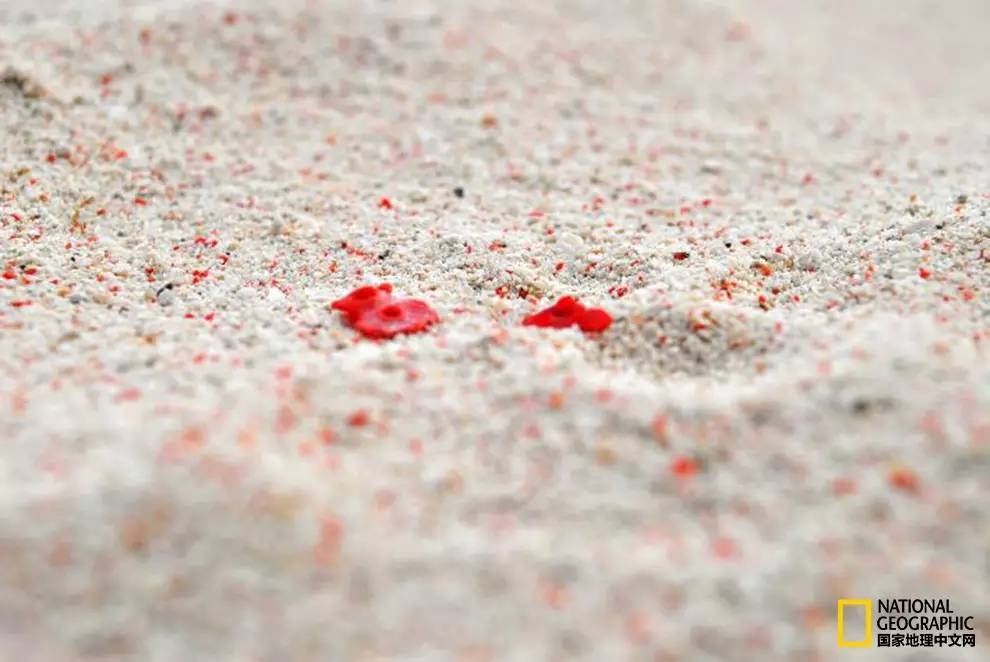 【转】全世界最美的21片沙滩