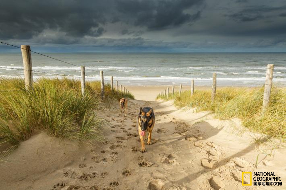 【转】全世界最美的21片沙滩