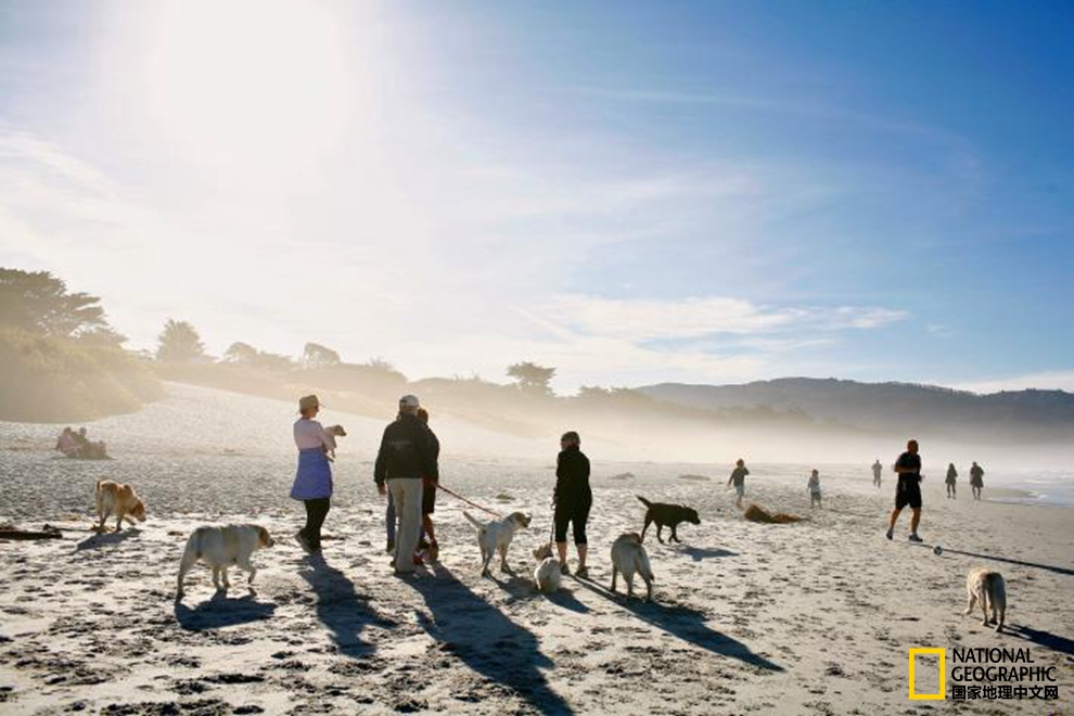 【转】全世界最美的21片沙滩