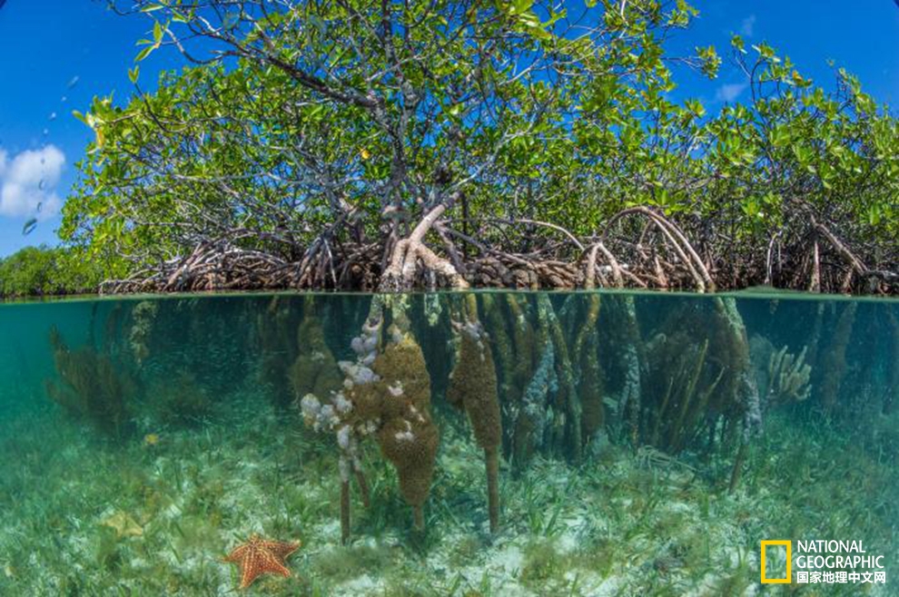 【转】全世界最美的21片沙滩