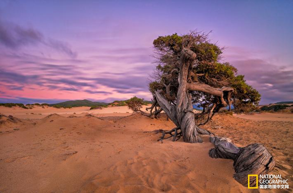 【转】全世界最美的21片沙滩