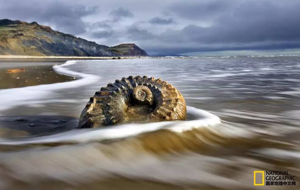 【转】全世界最美的21片沙滩