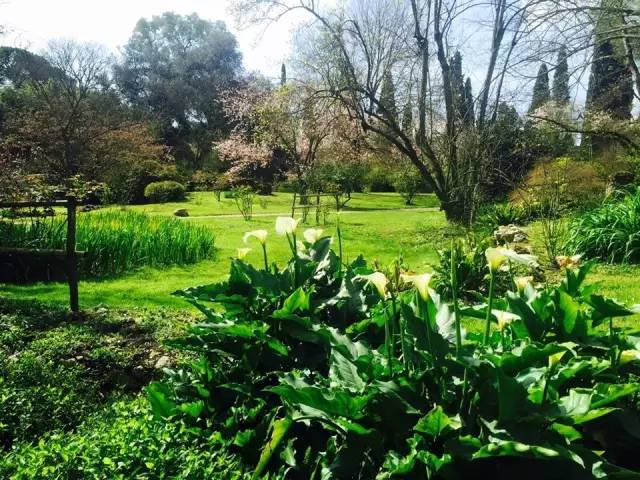 【转】这个国家把最美的颜色都穿在了身上!你想跟谁去?