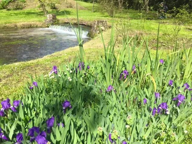 【转】这个国家把最美的颜色都穿在了身上!你想跟谁去?