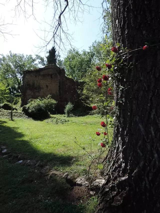 【转】这个国家把最美的颜色都穿在了身上!你想跟谁去?