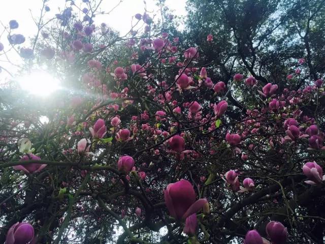 【转】这个国家把最美的颜色都穿在了身上!你想跟谁去?