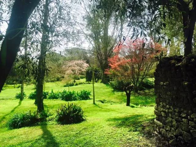 【转】这个国家把最美的颜色都穿在了身上!你想跟谁去?