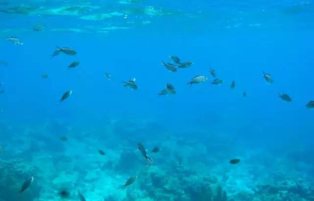 【转】这个国家把最美的颜色都穿在了身上!你想跟谁去?