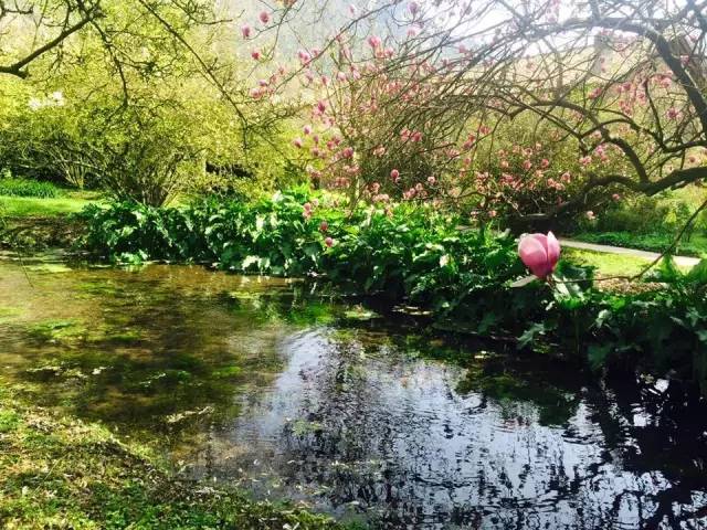 【转】这个国家把最美的颜色都穿在了身上!你想跟谁去?