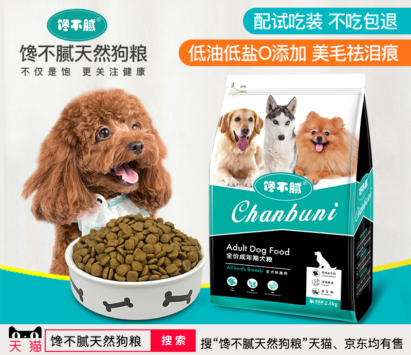 为什么狗狗挨打也不还手?背后这8个原因,看完让人觉得难过