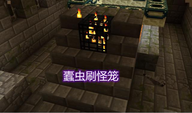 我的世界:蠹虫在灵魂沙上会窒息死亡?很像的螨虫,却能自主消失