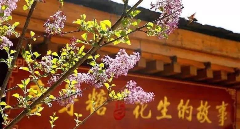 一个转角,遇见让你心动的夏天!