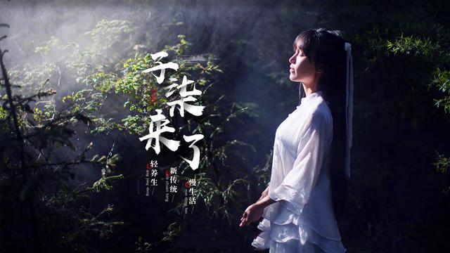 成功可以复制,但如果不满足这3点,想打造另一个李子柒,非常难
