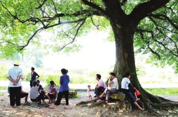 我们小时候,为啥不怕热?看完不许哭……