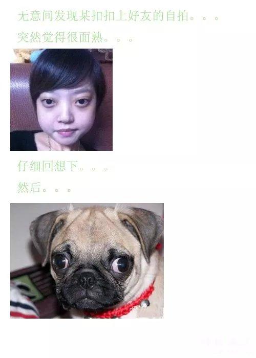 搞笑GIF:新交的女友,大家感觉如何呀?