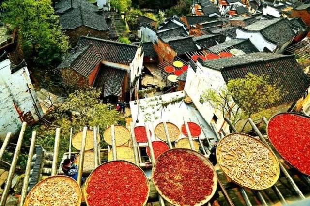 诗意“晒秋”:晒一幅丰收画卷,晒一片最美秋光