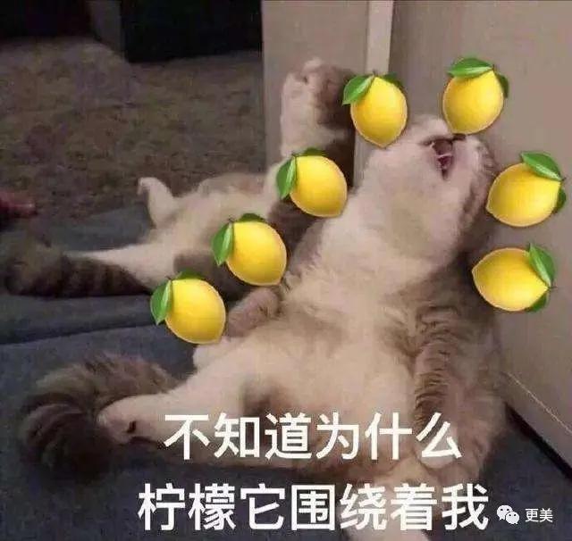 被刘亦菲截资源,张雨绮抢男友,她却活成下一个巩俐
