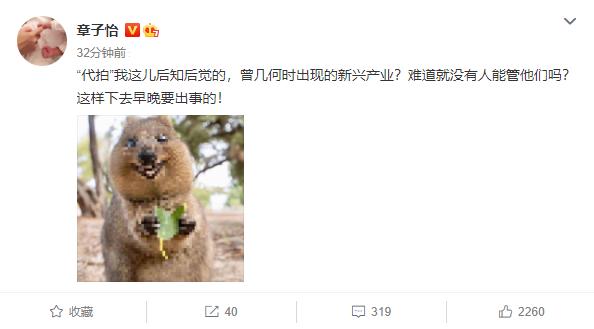 与倪妮有关?章子怡怒斥代拍,行业乱象几时休!