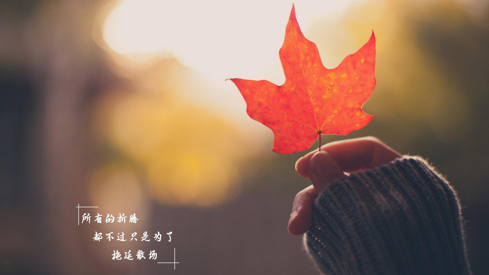 9.4-9.11,运势大好,会心想事成,得偿所愿的三大生肖