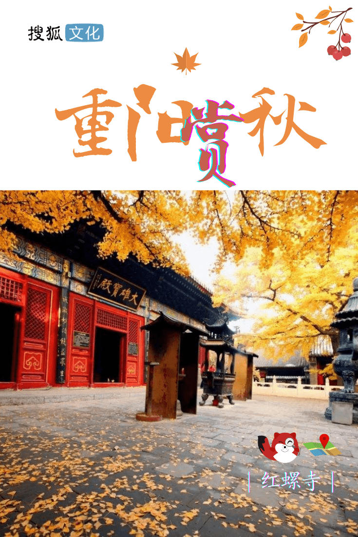 重阳节将至,红叶正当时!北京赏秋指南,速来查收