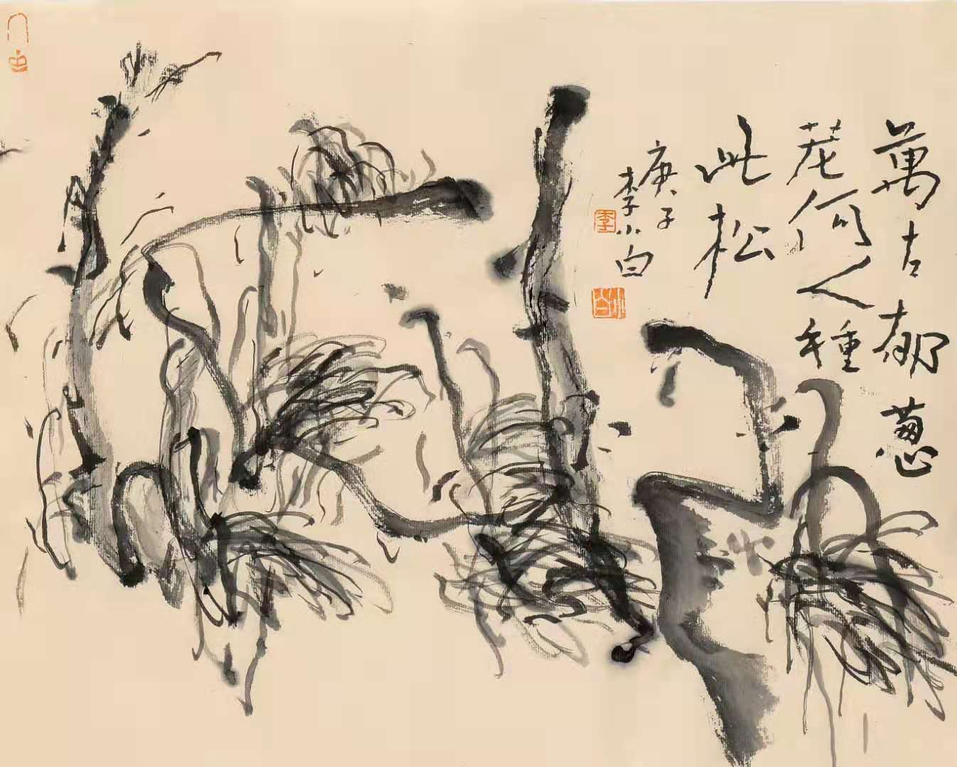 李小白:大美静中参