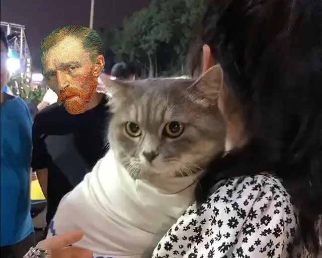 这只抗拒摆摊的猫,在被一群小姐姐亲过后,现在却主动要求出摊